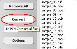 Click Convert